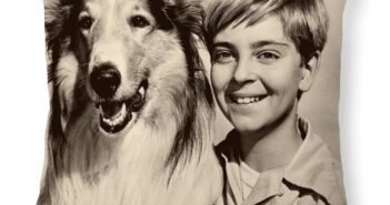 Tommy Rettig; Estrela infantil do programa de TV 'Lassie'. (Crédito da fotografia: Cortesia © Copyright Fine Art America./ REPRODUÇÃO/ DIREITOS RESERVADOS)