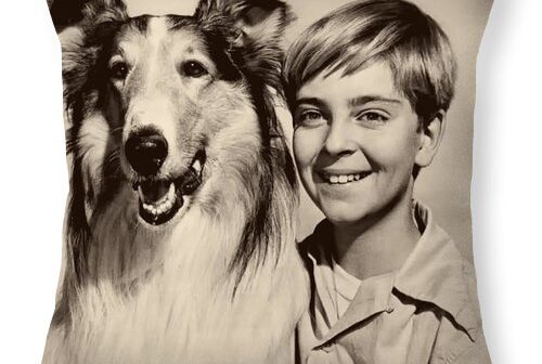 Tommy Rettig; Estrela infantil do programa de TV 'Lassie'. (Crédito da fotografia: Cortesia © Copyright Fine Art America./ REPRODUÇÃO/ DIREITOS RESERVADOS)