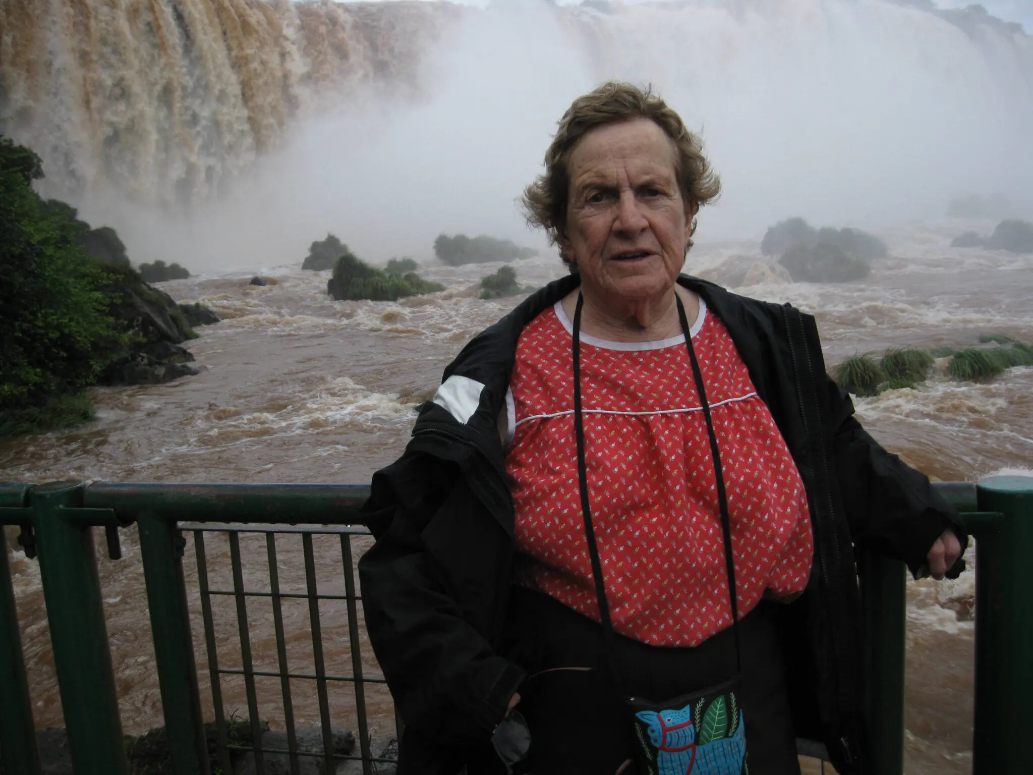 Ao longo de uma carreira que durou mais de seis décadas, Joan Feynman foi pioneira em física solar e mais tarde se aprofundou na ciência por trás das mudanças climáticas. (Crédito da fotografia: cortesia Alexandre Ruzmaikin)