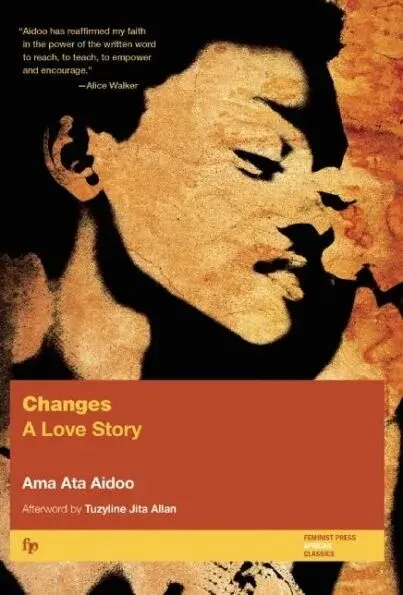 O romance da Sra. Aidoo, “Changes: A Love Story”, ganhou o Prêmio Commonwealth Writers de 1992 de melhor livro, África.