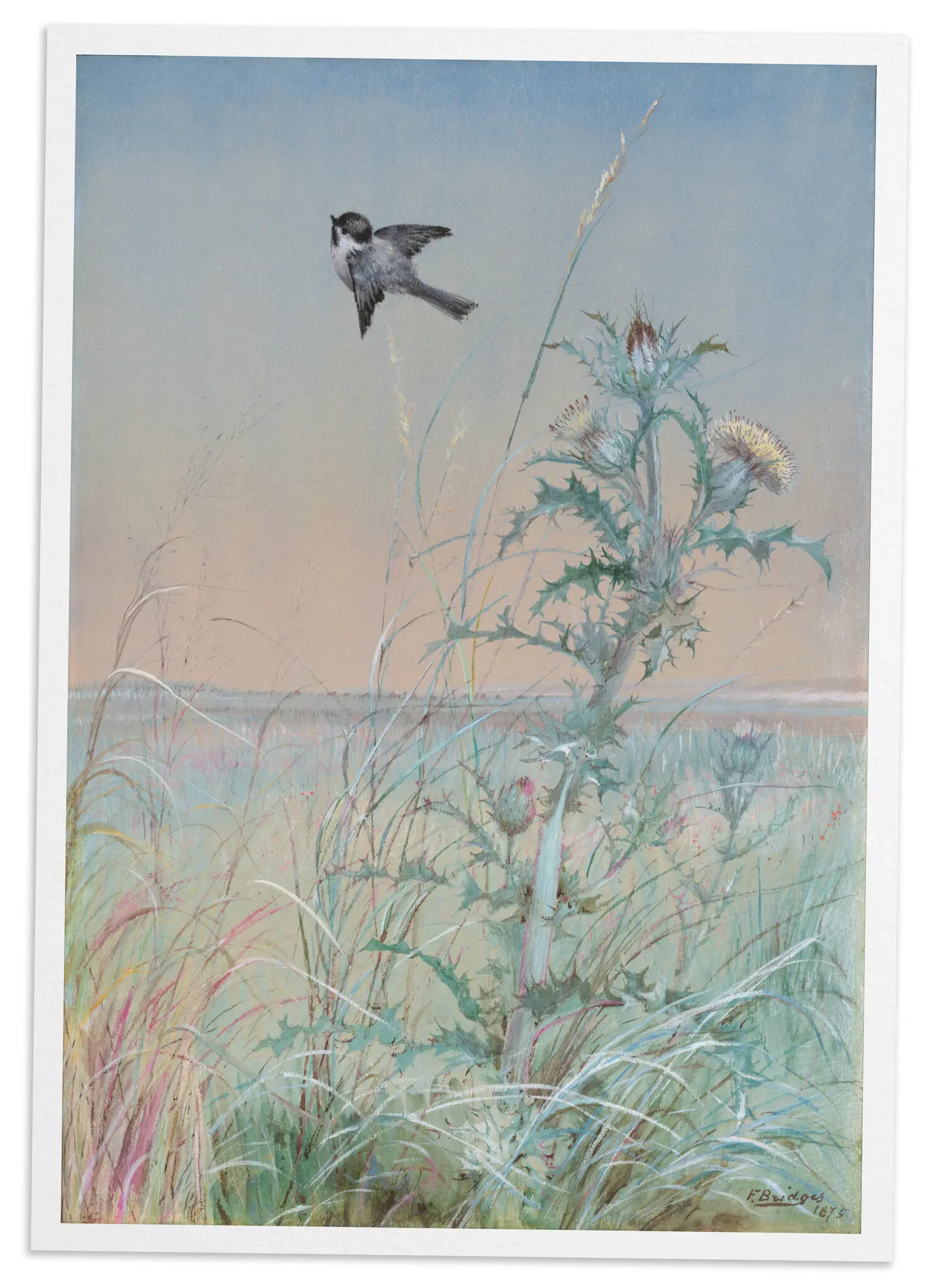 “Chickadee and Thistle”, 1875. Pássaros e plantas estavam entre os temas favoritos de Bridges. (Crédito...Doação do Sr. e da Sra. Max N. Berry, 2020, Metropolitan Museum of Art.)